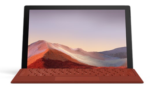 乐东清洁和维护 Surface